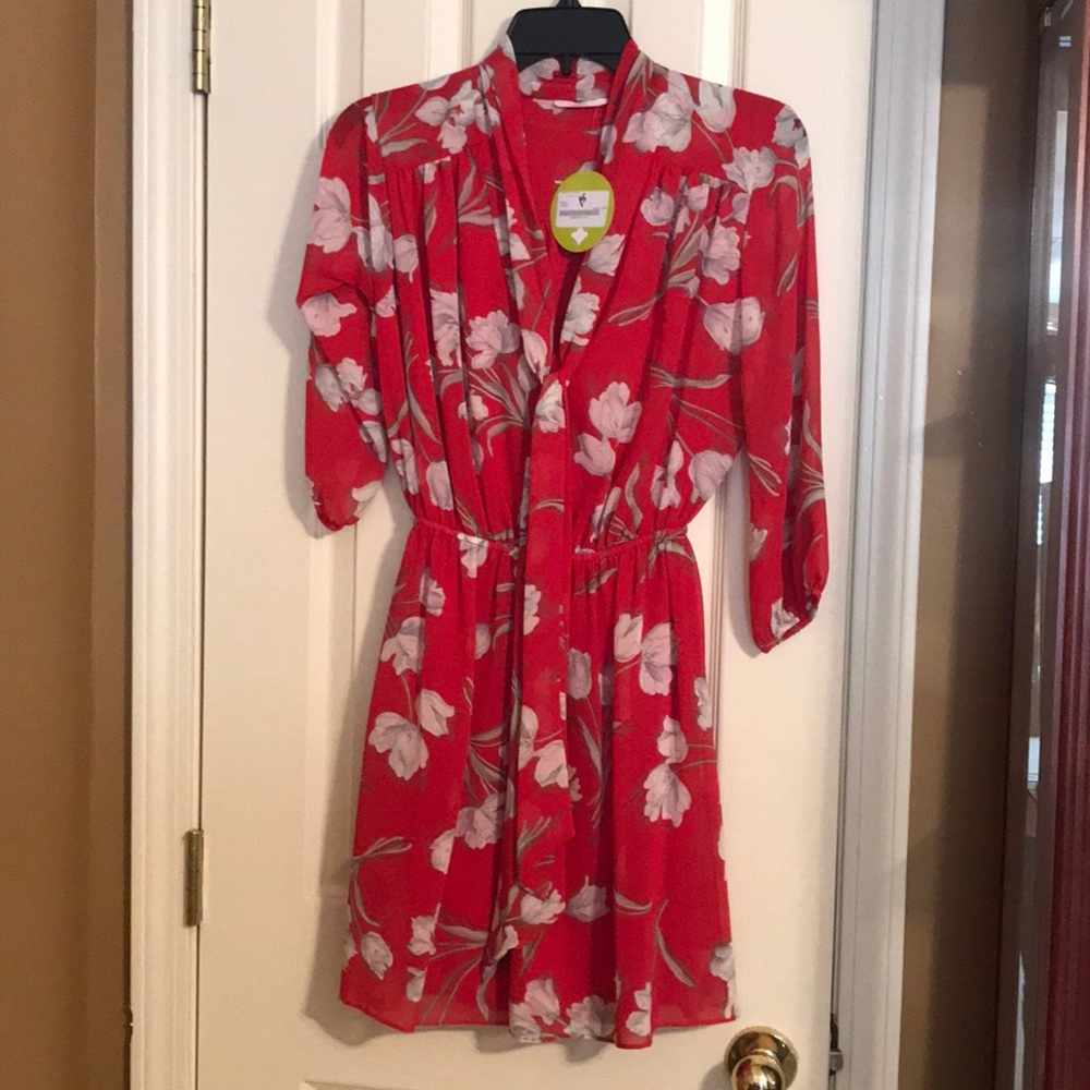 Red and white/cream flower dress